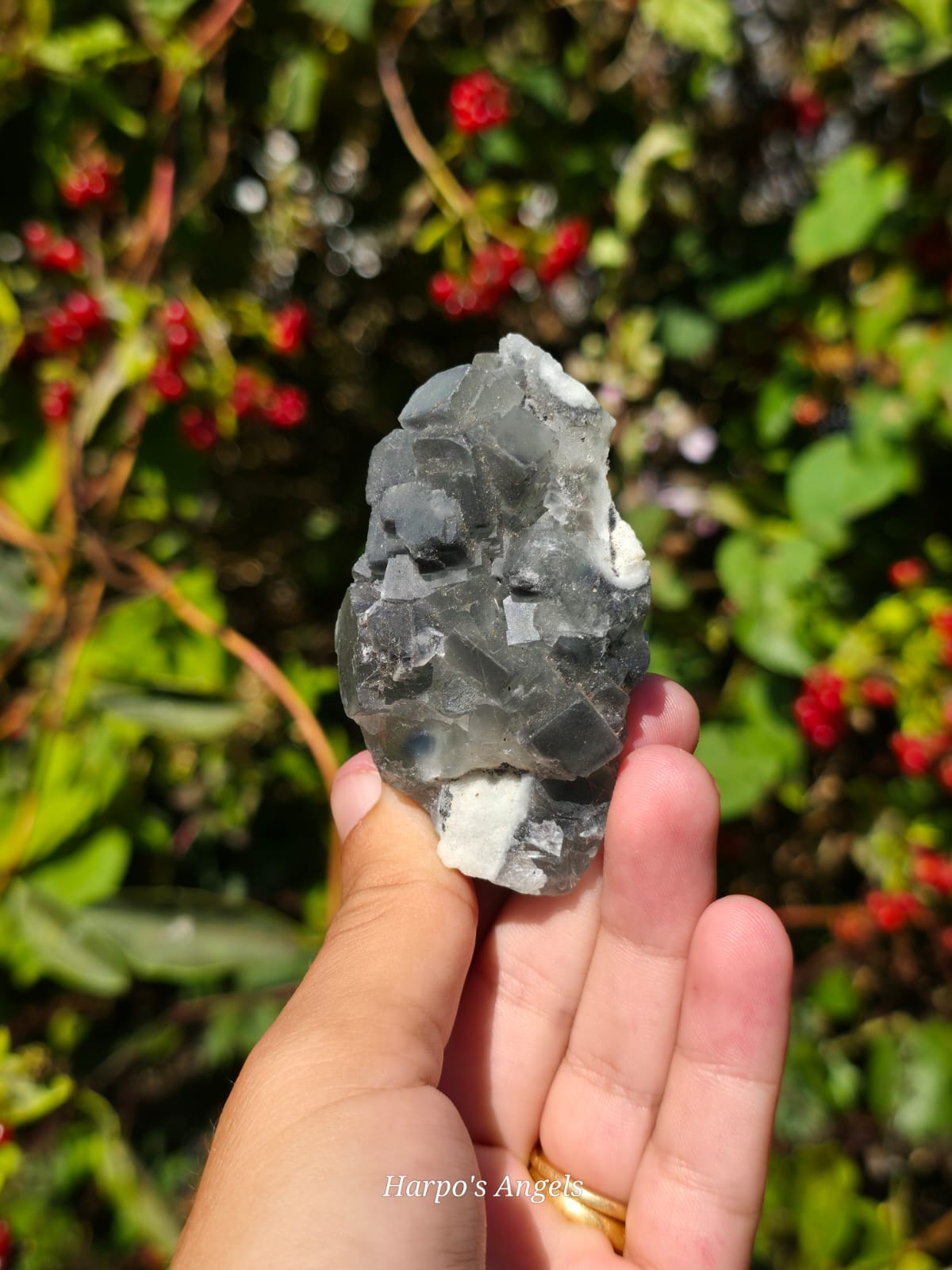 Grey Fluorite Crystal Cluster  - (Ex Collection)