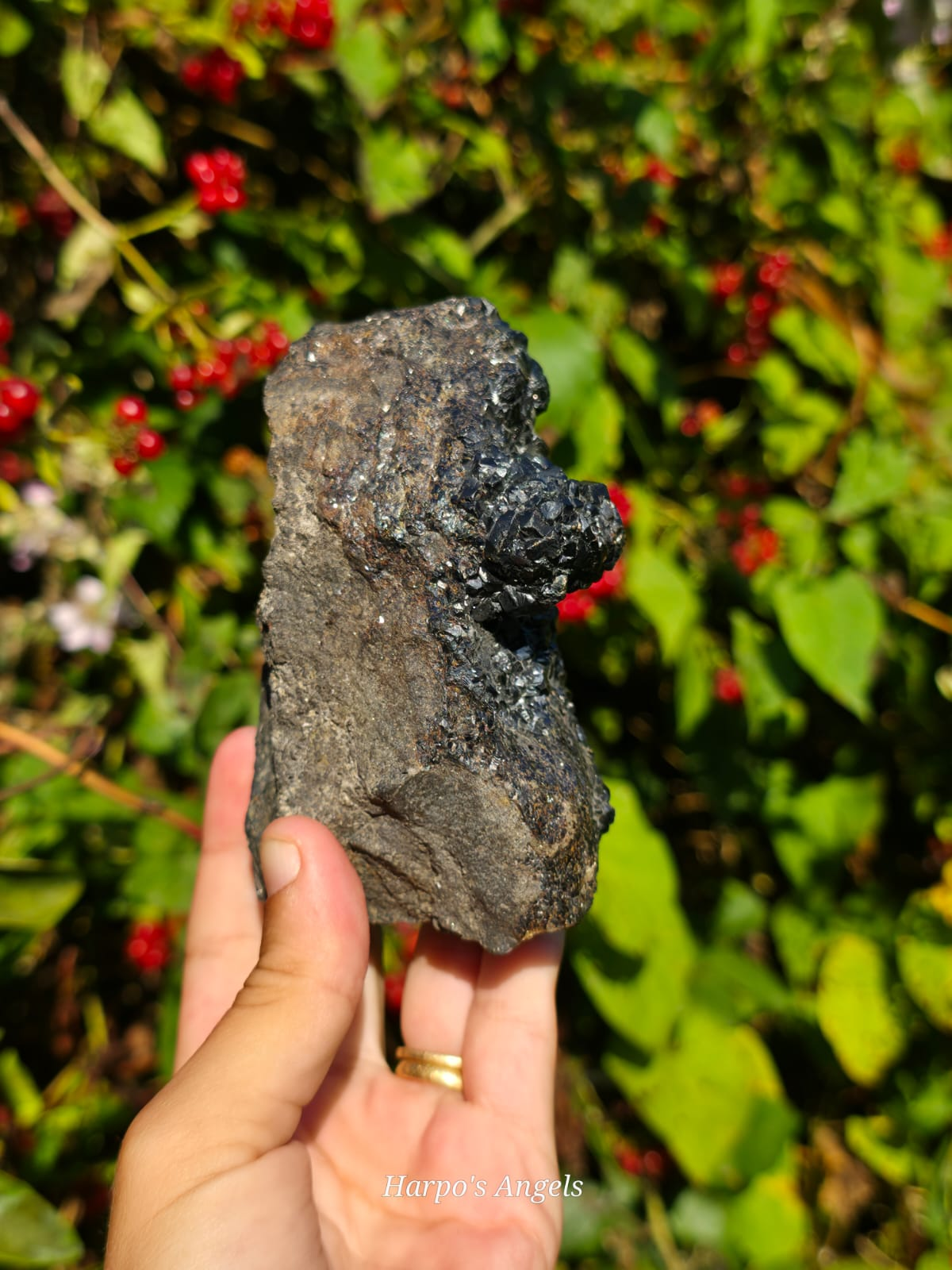 Sphalerite var. Marmatite - UK Mineral