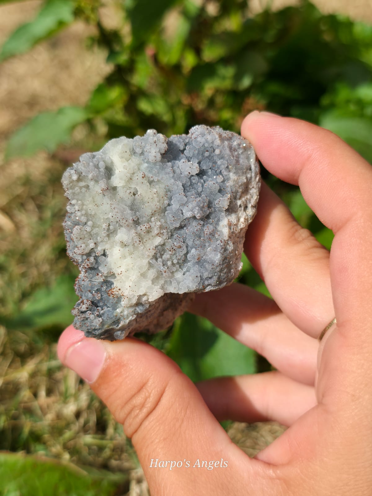 Chalcopyrite Specimen Bulgaria