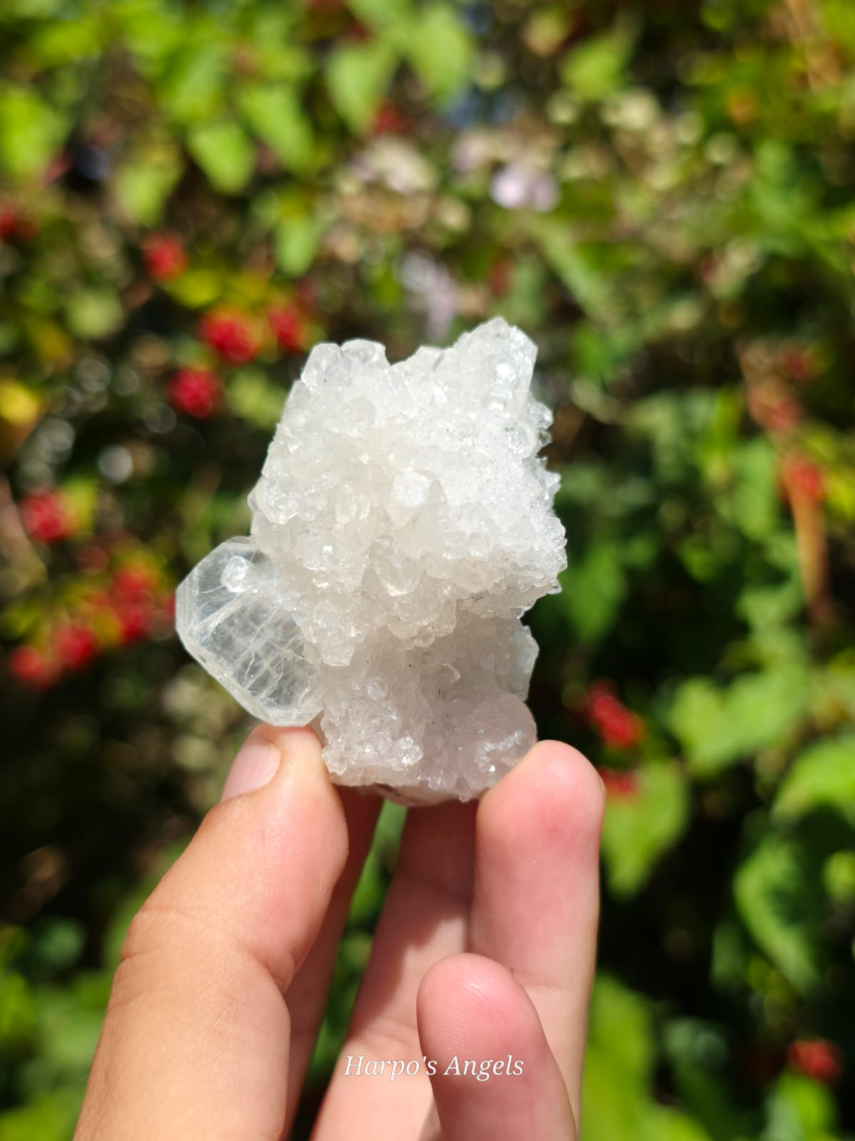 Yunnan Apophyllite Crystal Cluster #1