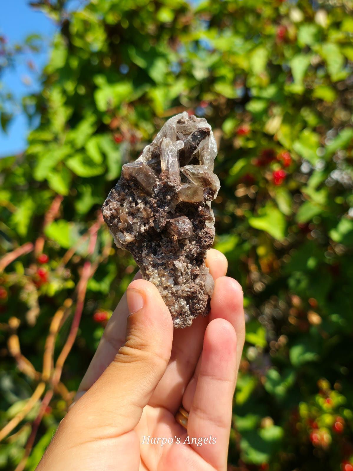 Smoky Quartz Cluster
