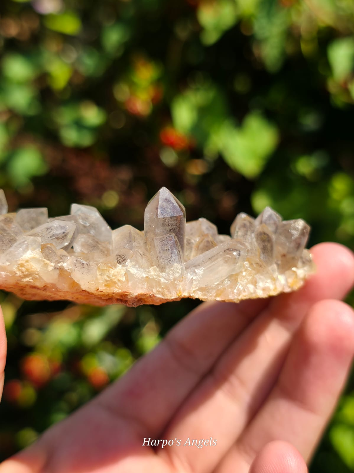 Smoky Quartz Cluster with Iron Inclusions