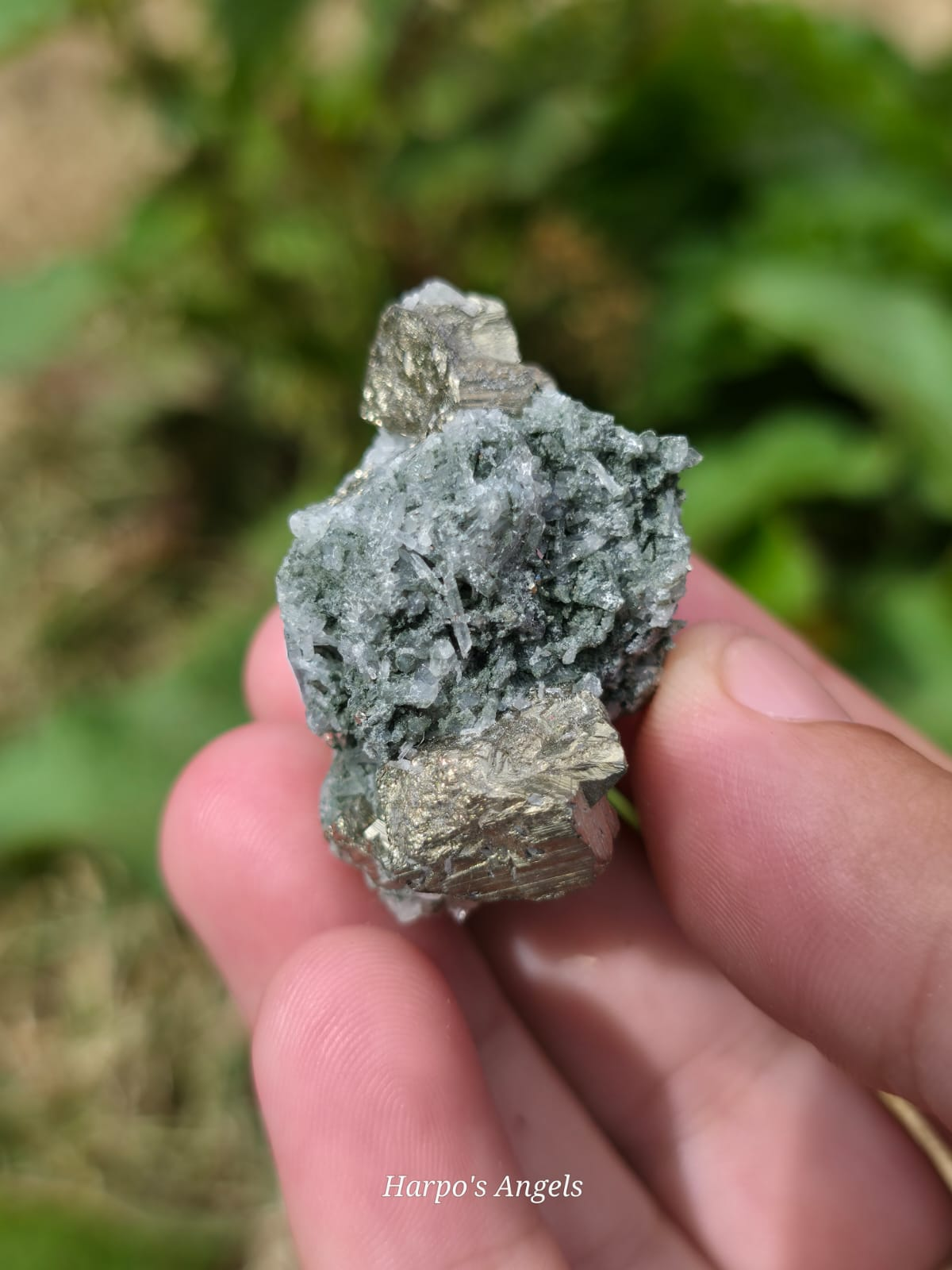 Quartz & Pyrite Specimen Bulgaria