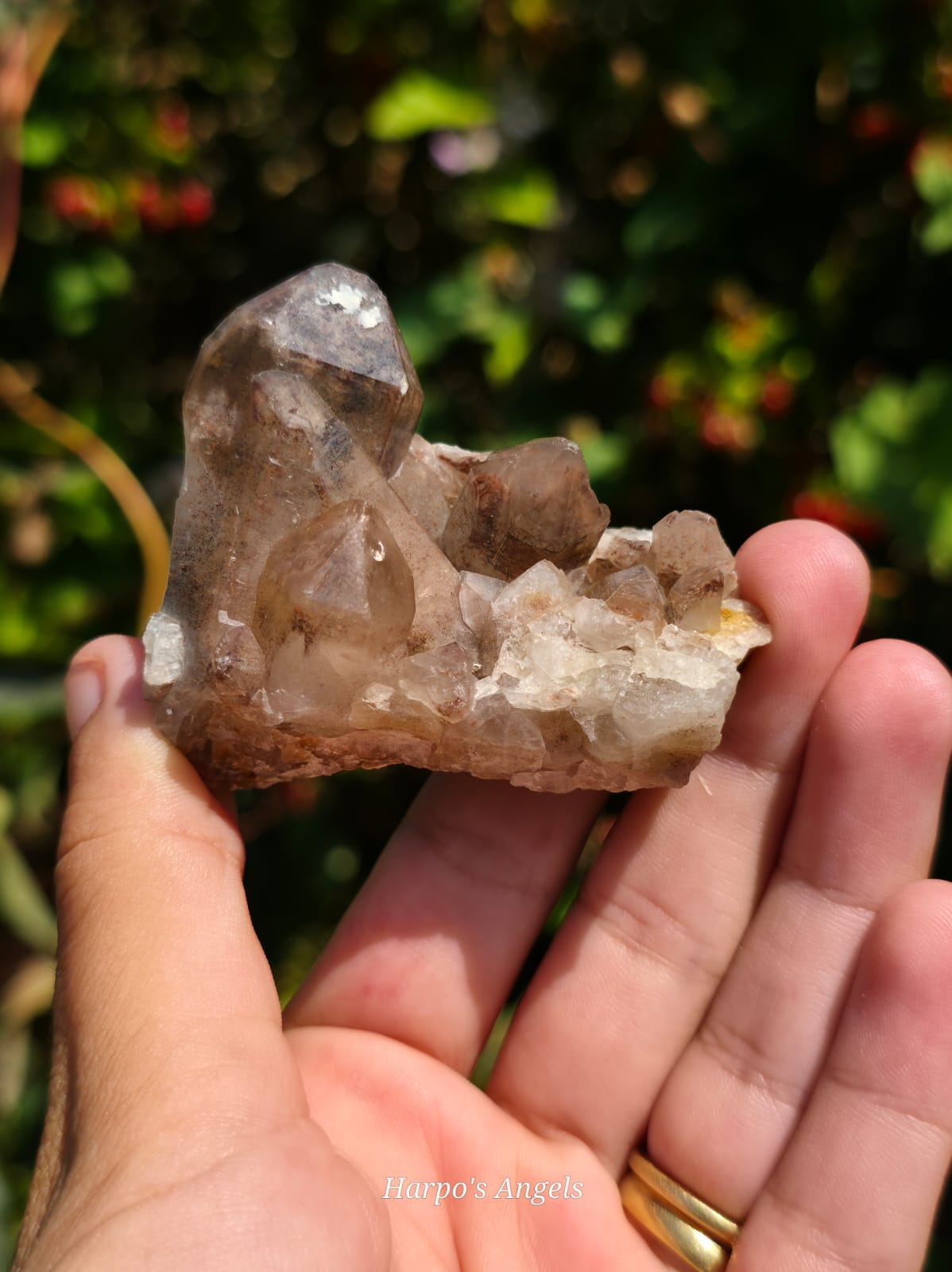 Smoky Hematoid Quartz Cluster