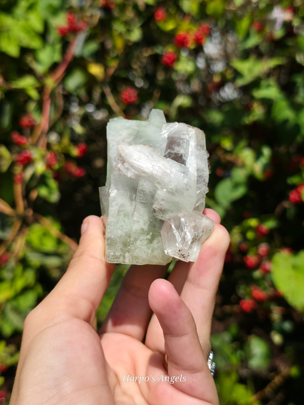 Green Apophyllite Crystal Cluster from India