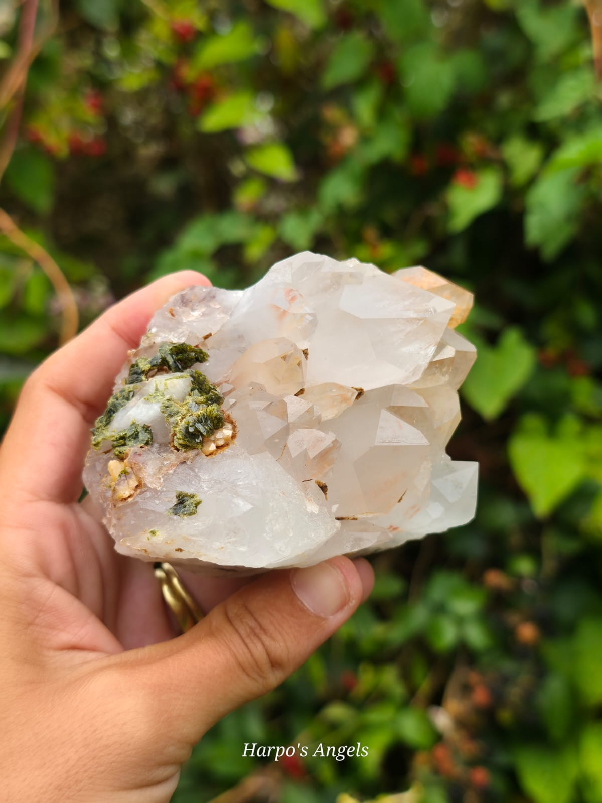 Epidote on Quartz Crystal Cluster (Forest Quartz)
