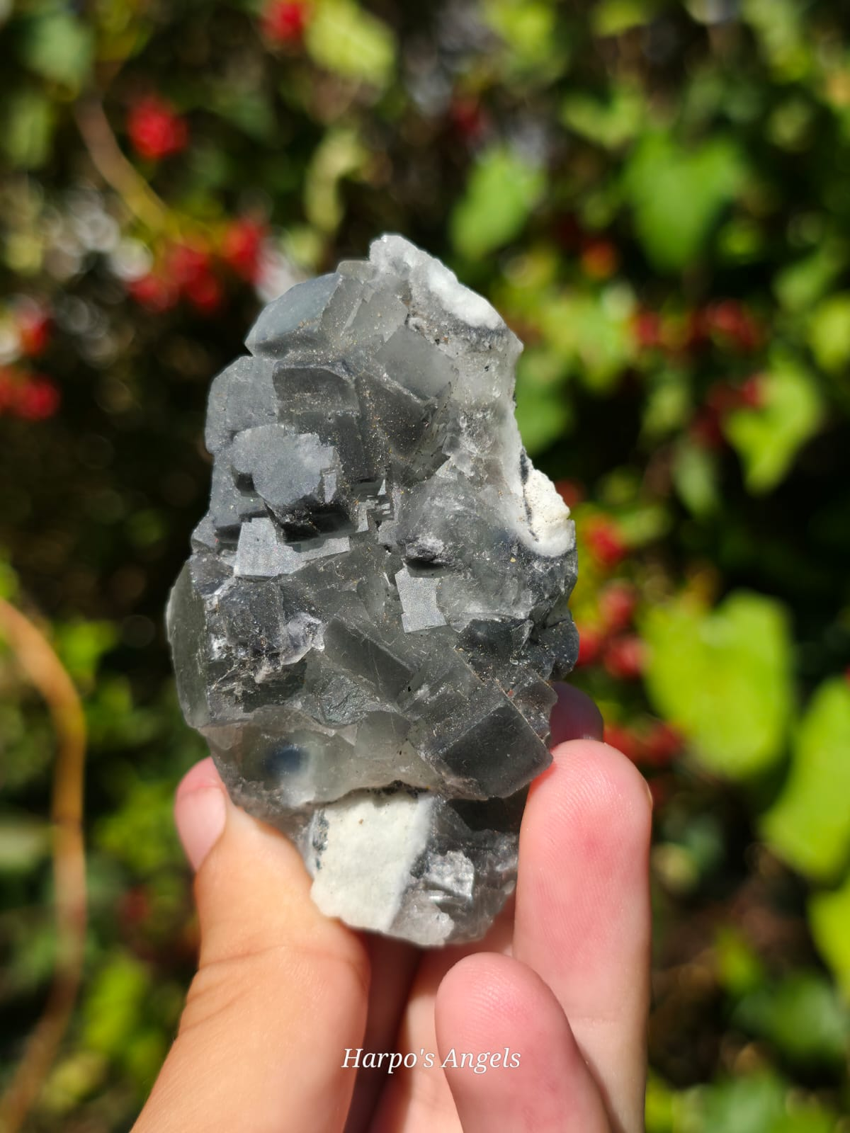 Grey Fluorite Crystal Cluster  - (Ex Collection)