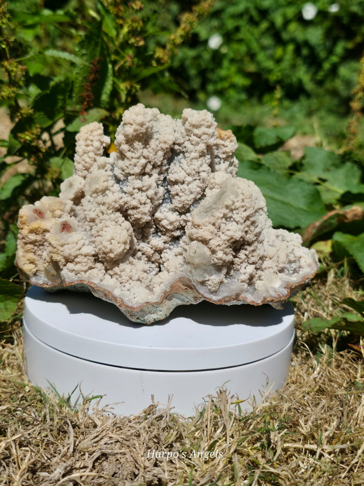 Botryoidal Aragonite Display Specimen (ex collection)