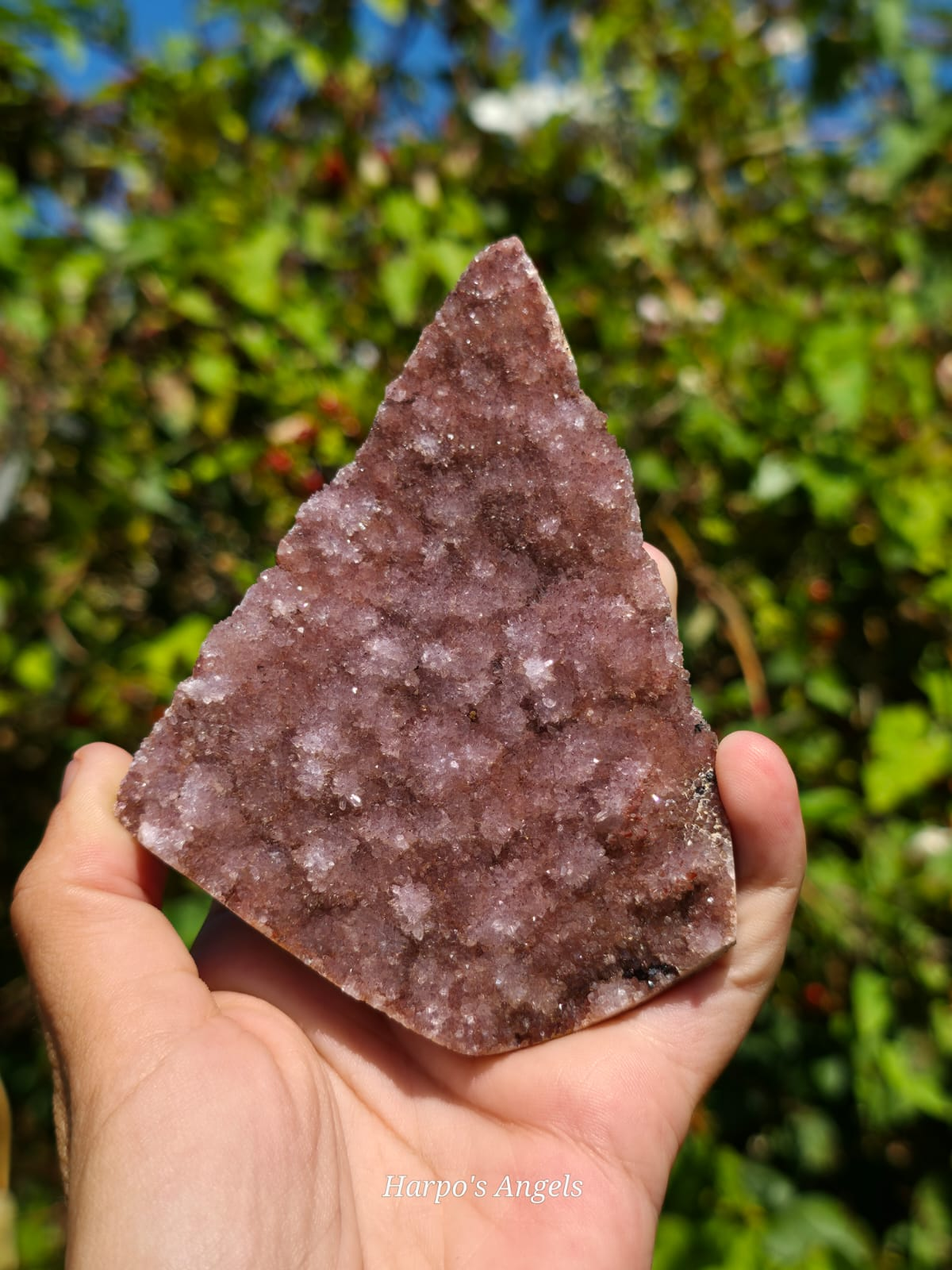 Alacam Amethyst Druzy Specimens