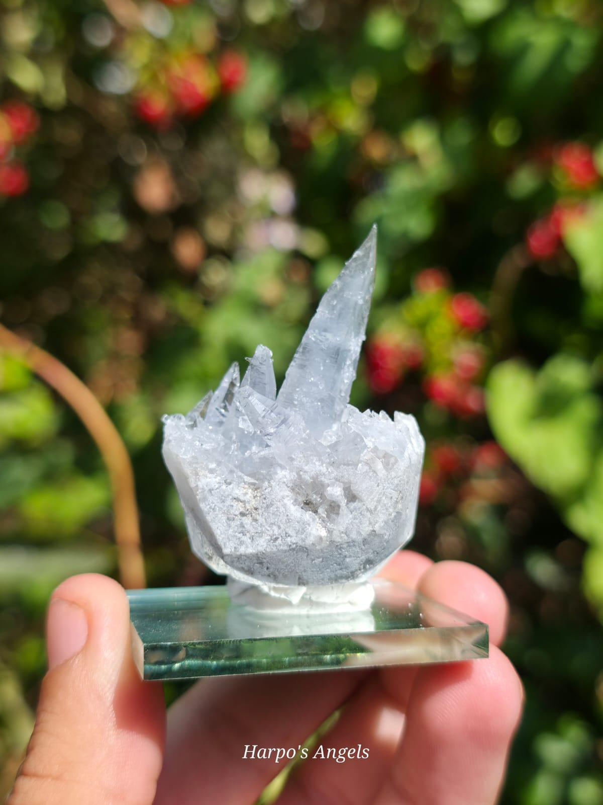 Madagascan Celestite Crystal Cluster #1