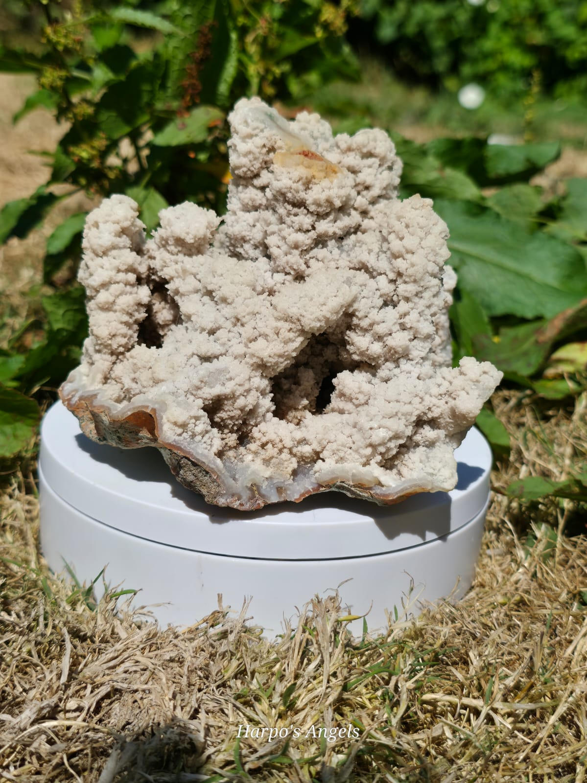 Botryoidal Aragonite Display Specimen (ex collection)