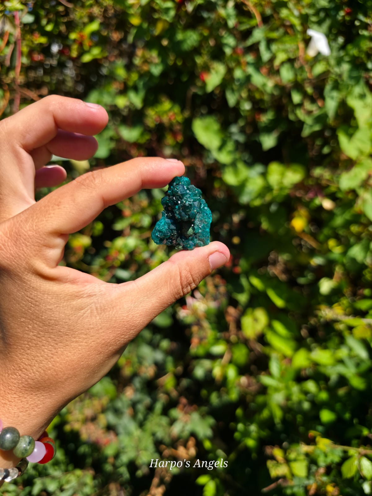 Dioptase Crystal Cluster #2