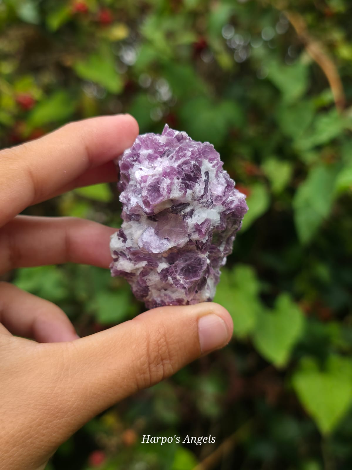 Purple Mica Specimen (Lepidolite)