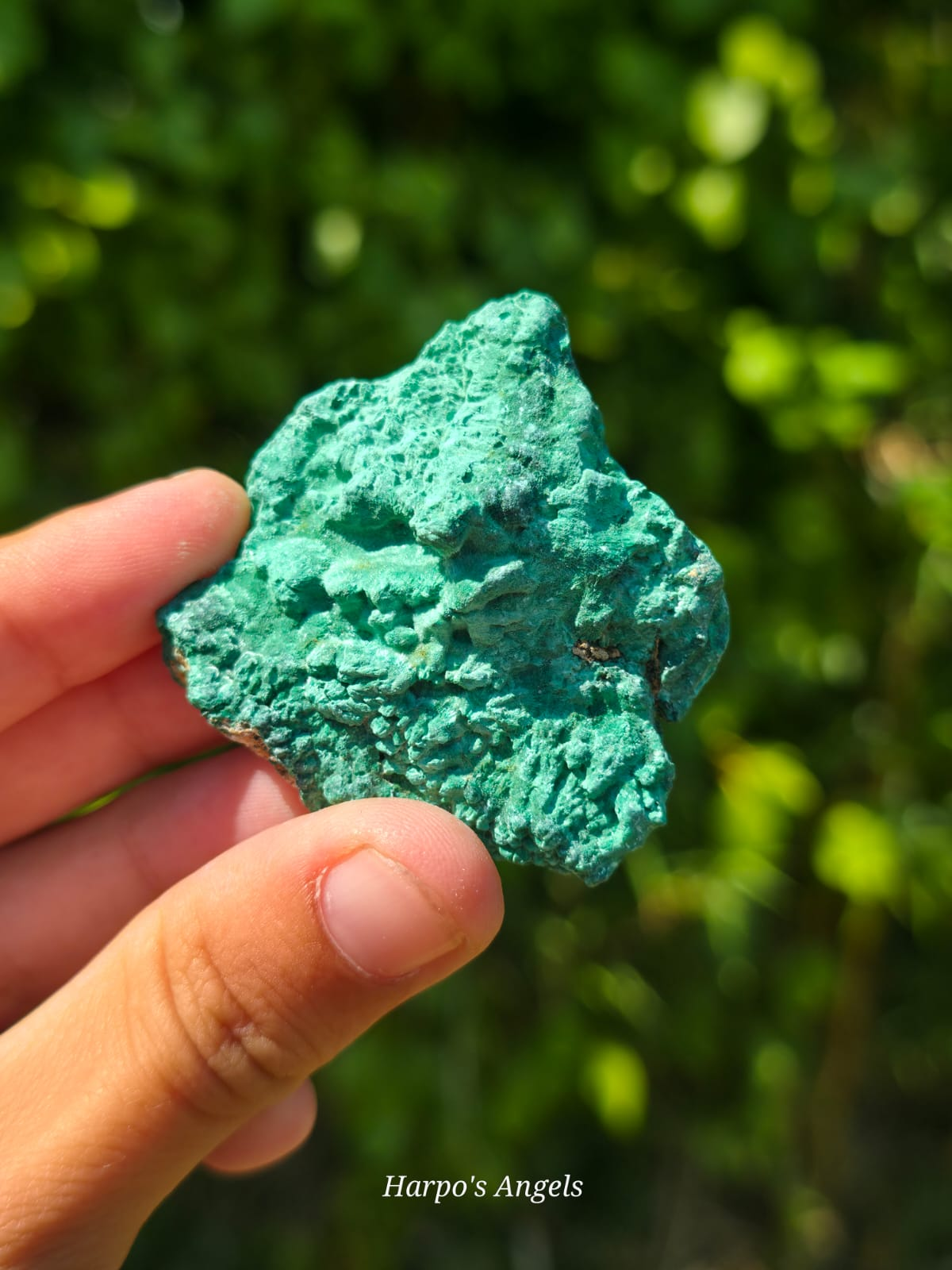 Velvet Malachite Specimen - Ex Collection