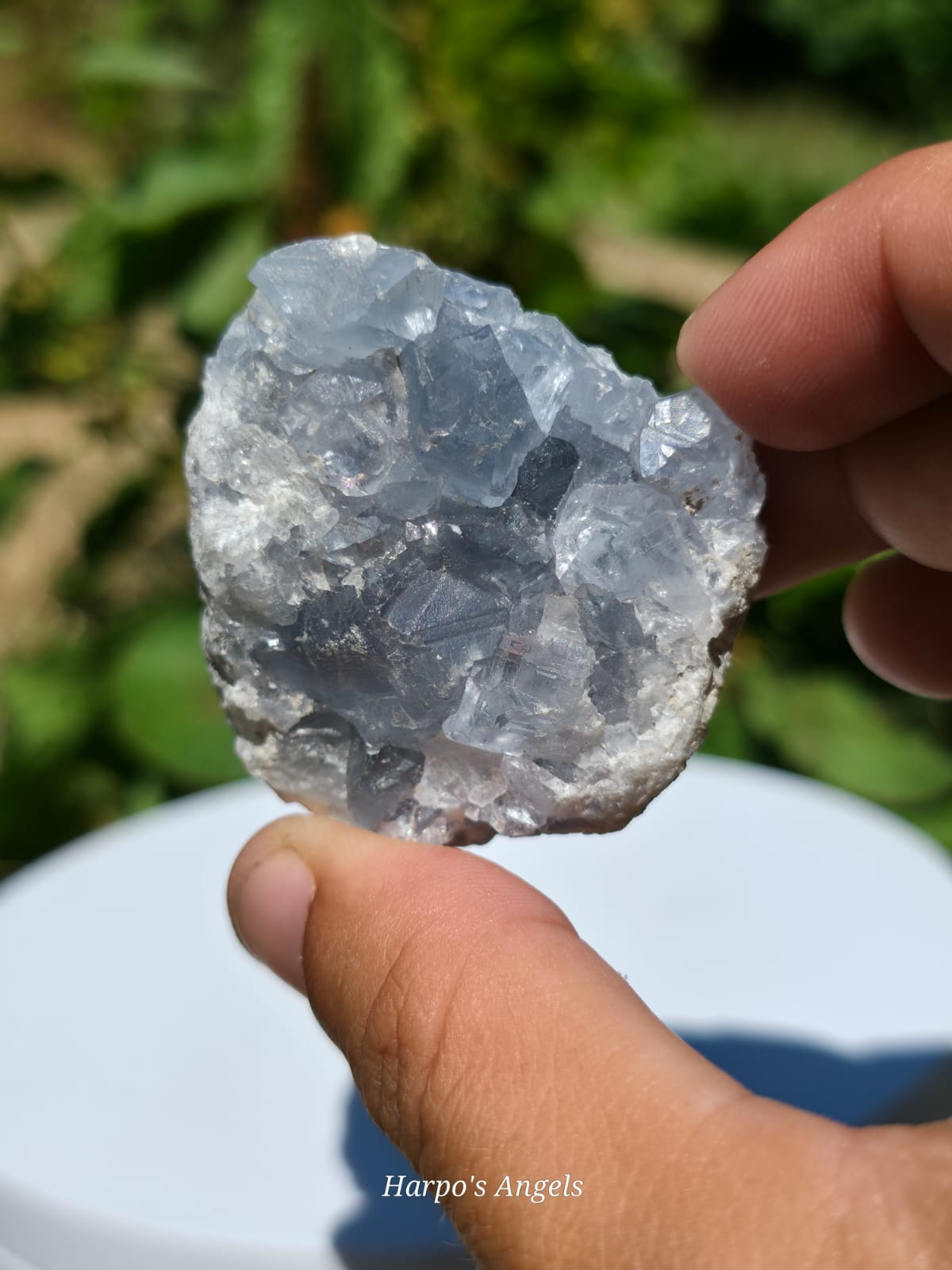 Celestite Geode