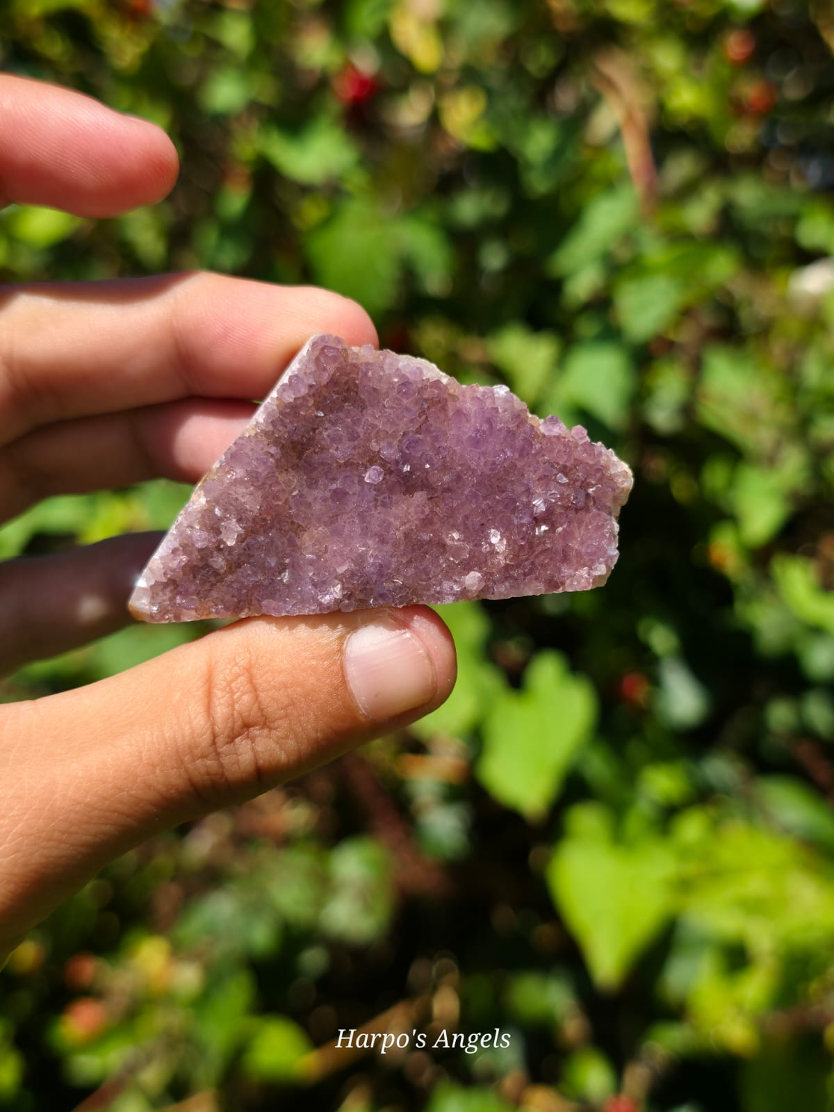 Alacam Amethyst Druzy Specimens