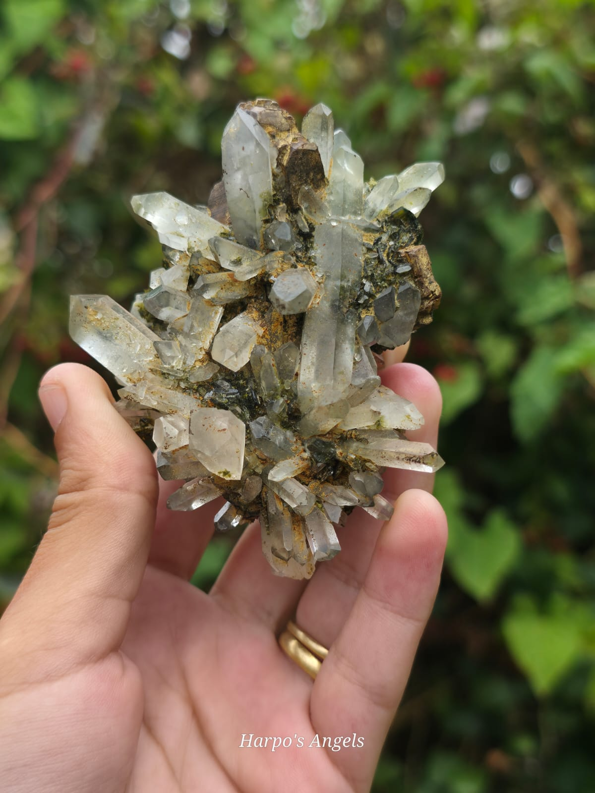 Rare Finds