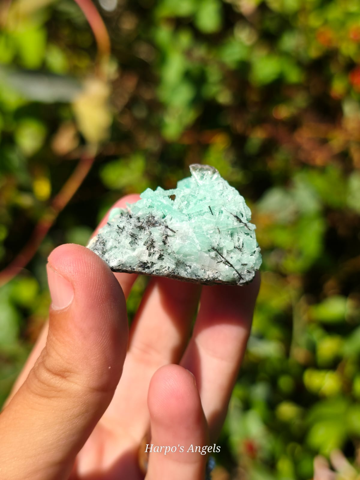 Emerald Specimen (Namibia) #1