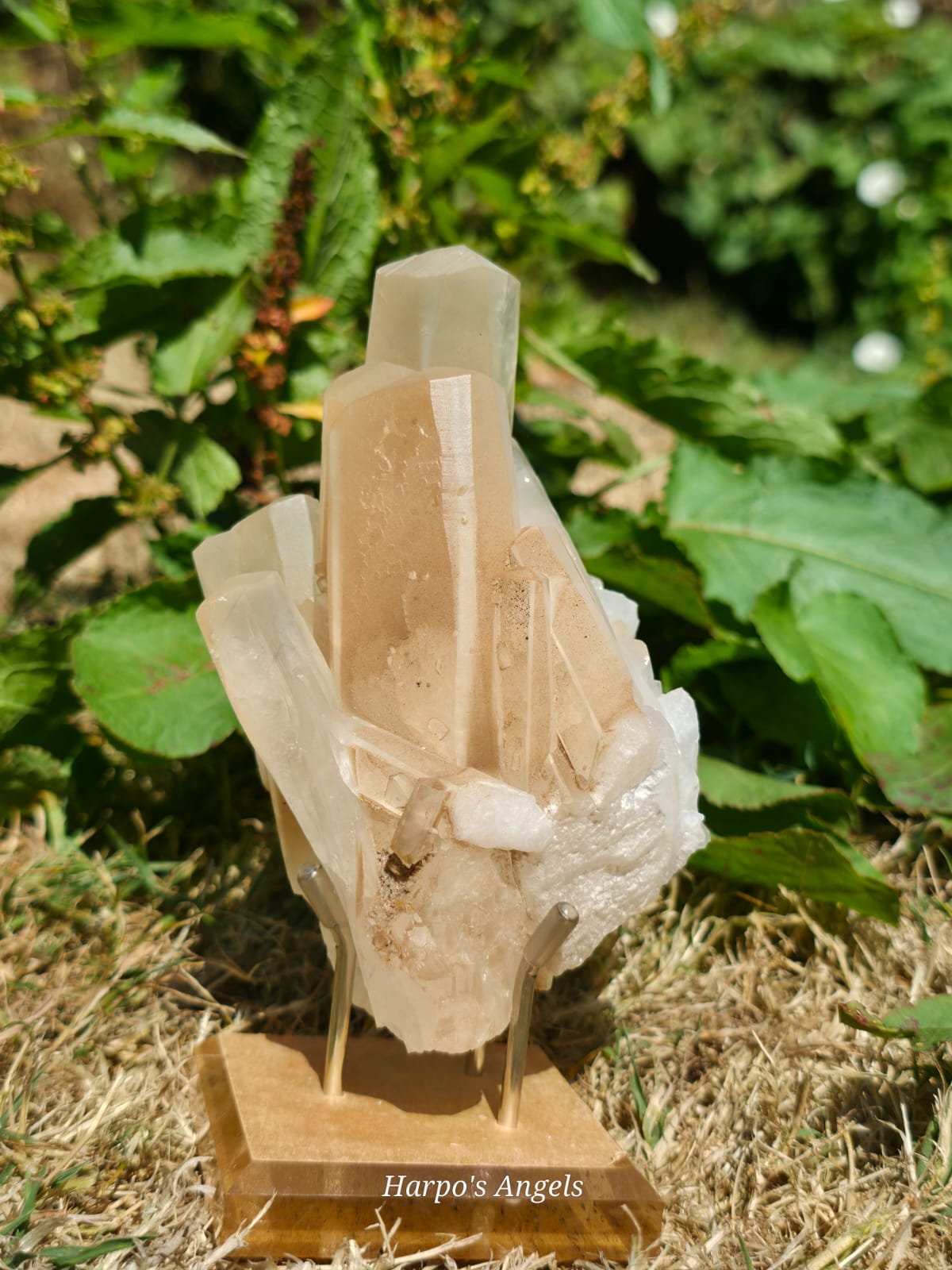 Column Calcite Cluster