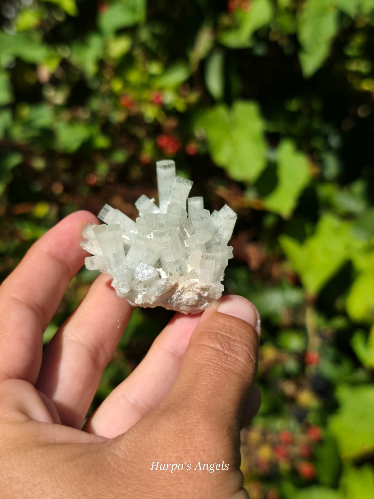 Aquamarine Clusters  #2