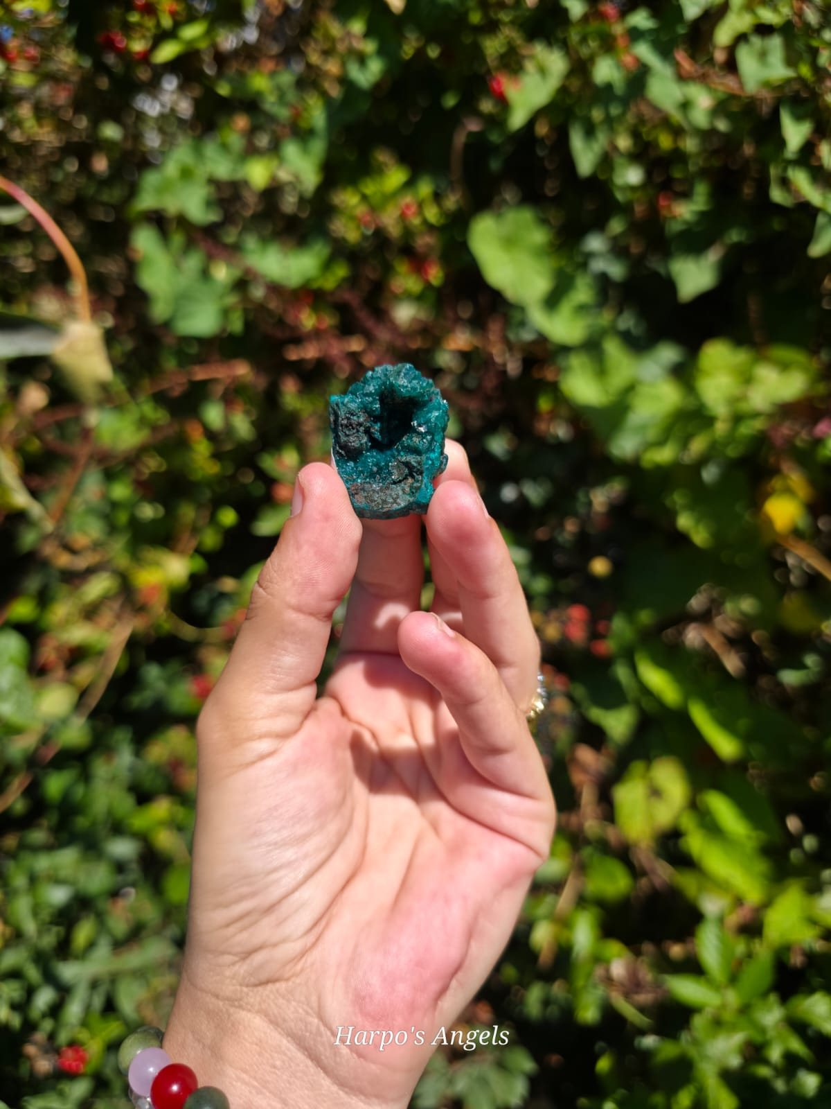 Dioptase Crystal Cluster #3