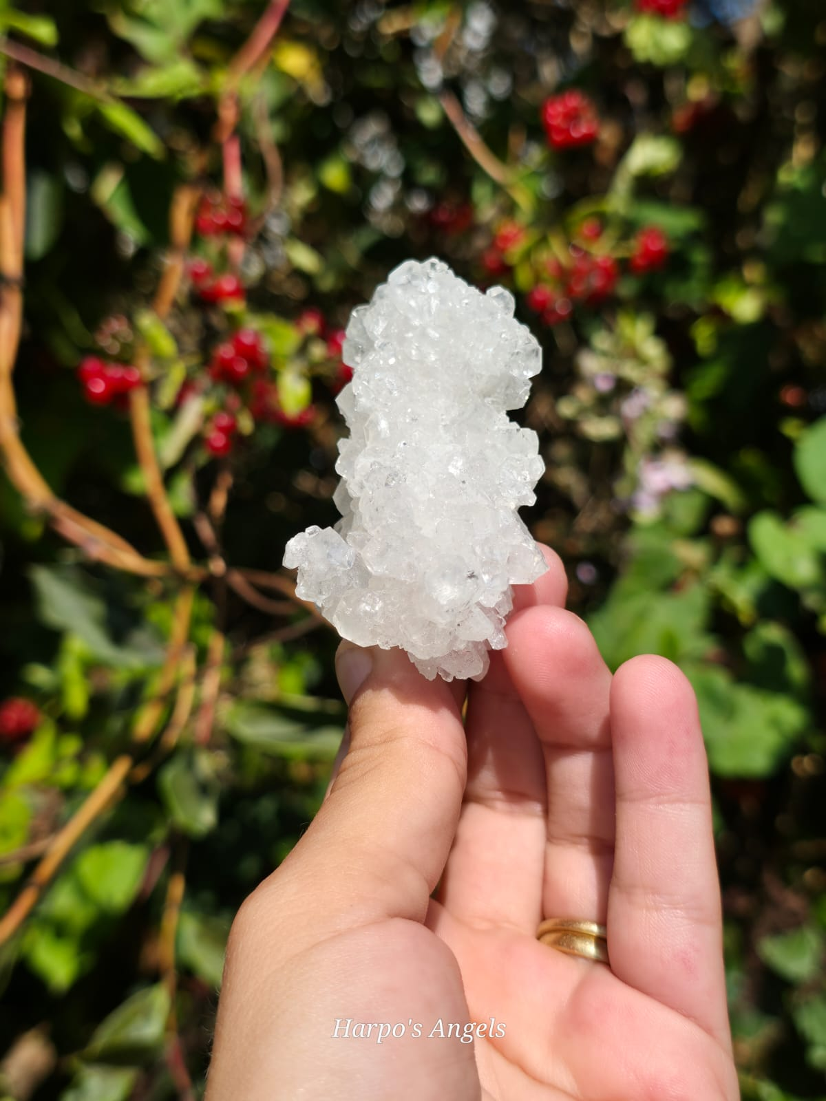 Yunnan Apophyllite Crystal Cluster #2