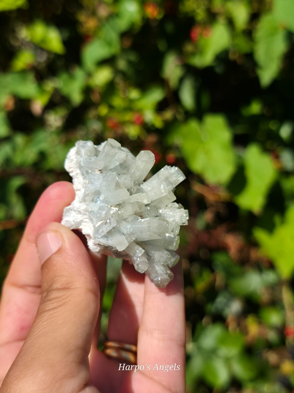 Aquamarine Clusters  #1