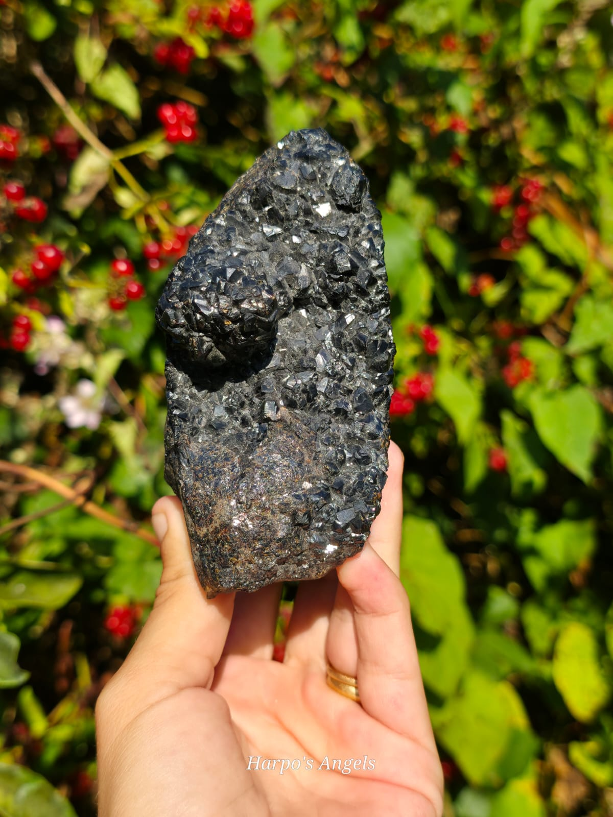 Sphalerite var. Marmatite - UK Mineral
