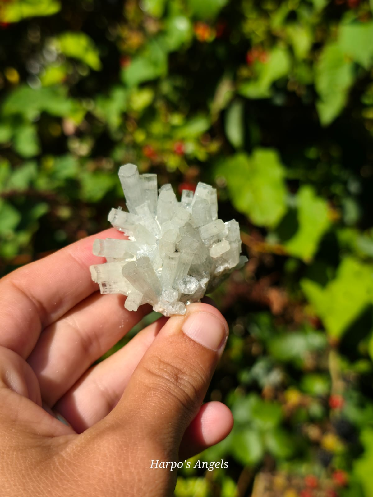 Aquamarine Clusters  #2
