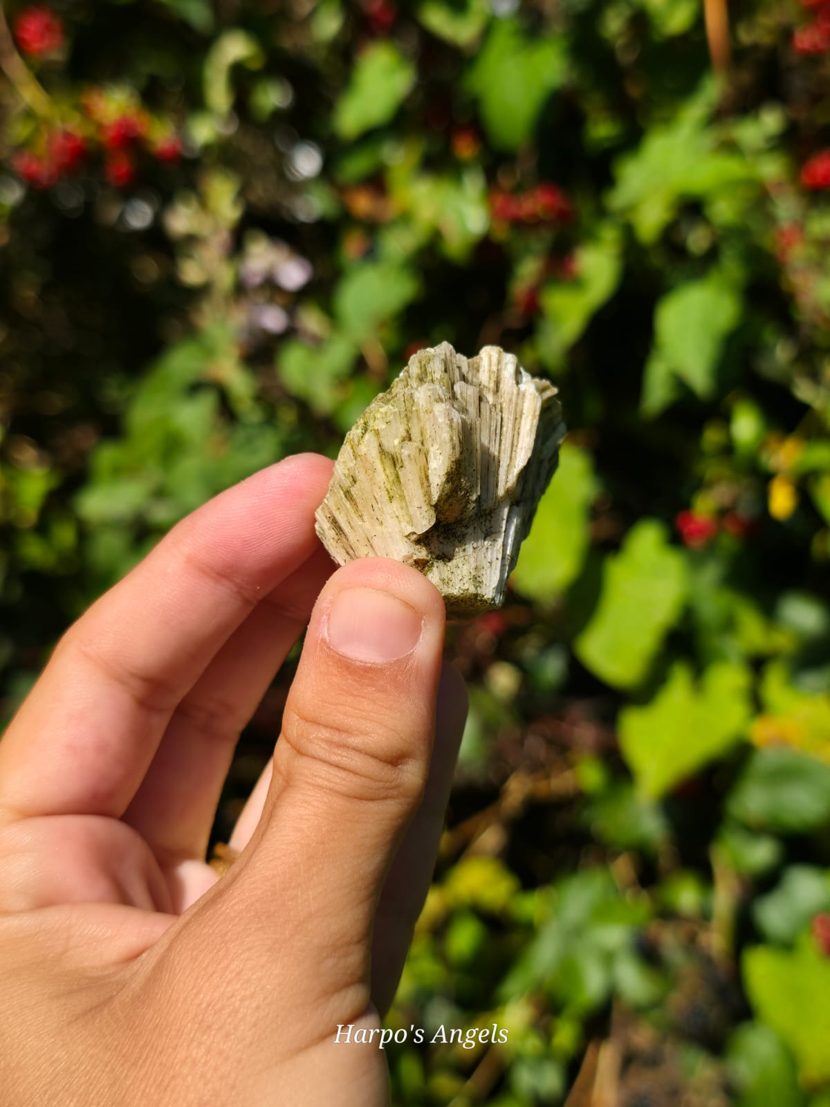 Scolecite from India #2 - (Ex Collection)