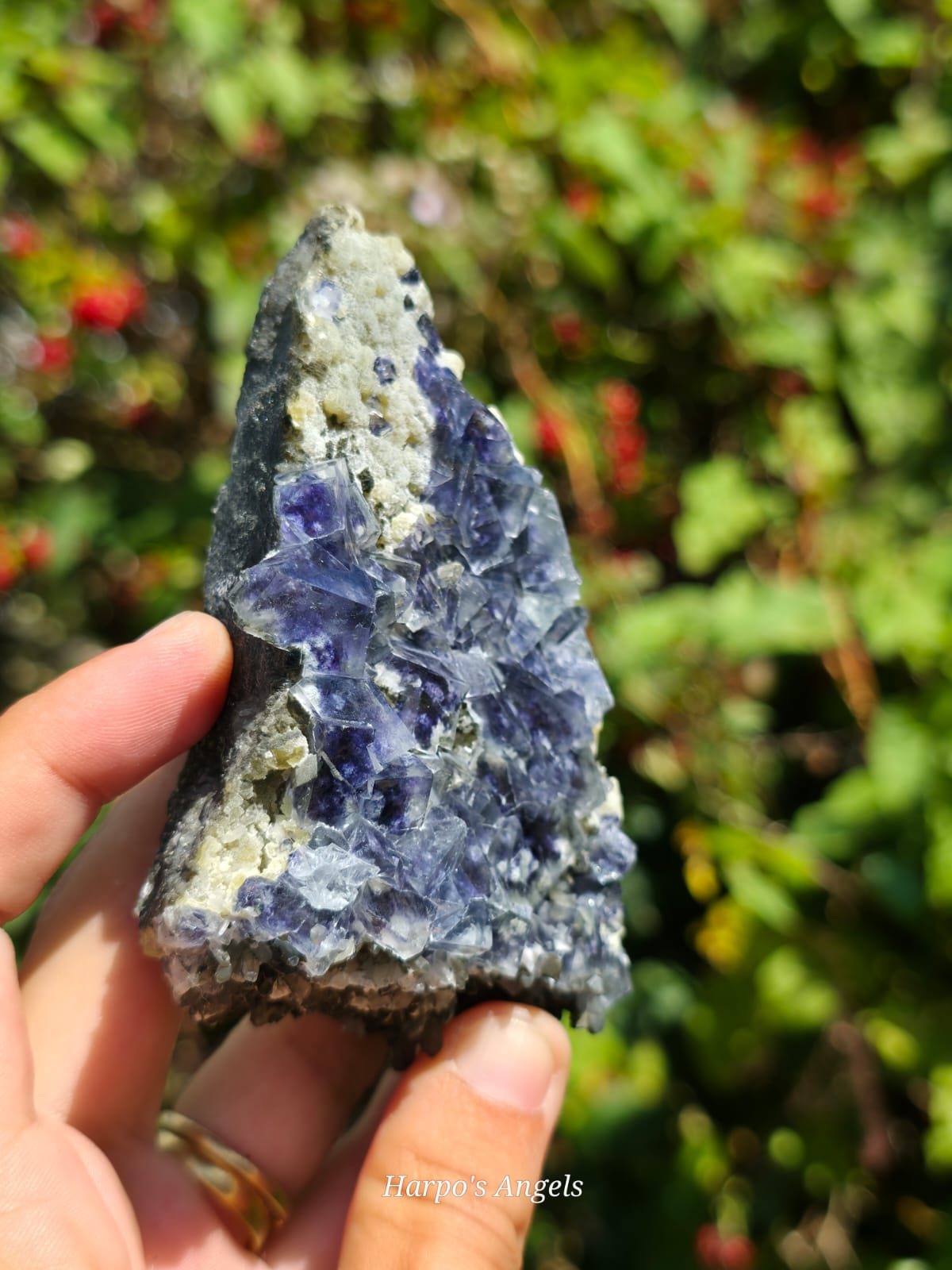 Garden Fluorite Crystal Cluster - Inner Mongolia