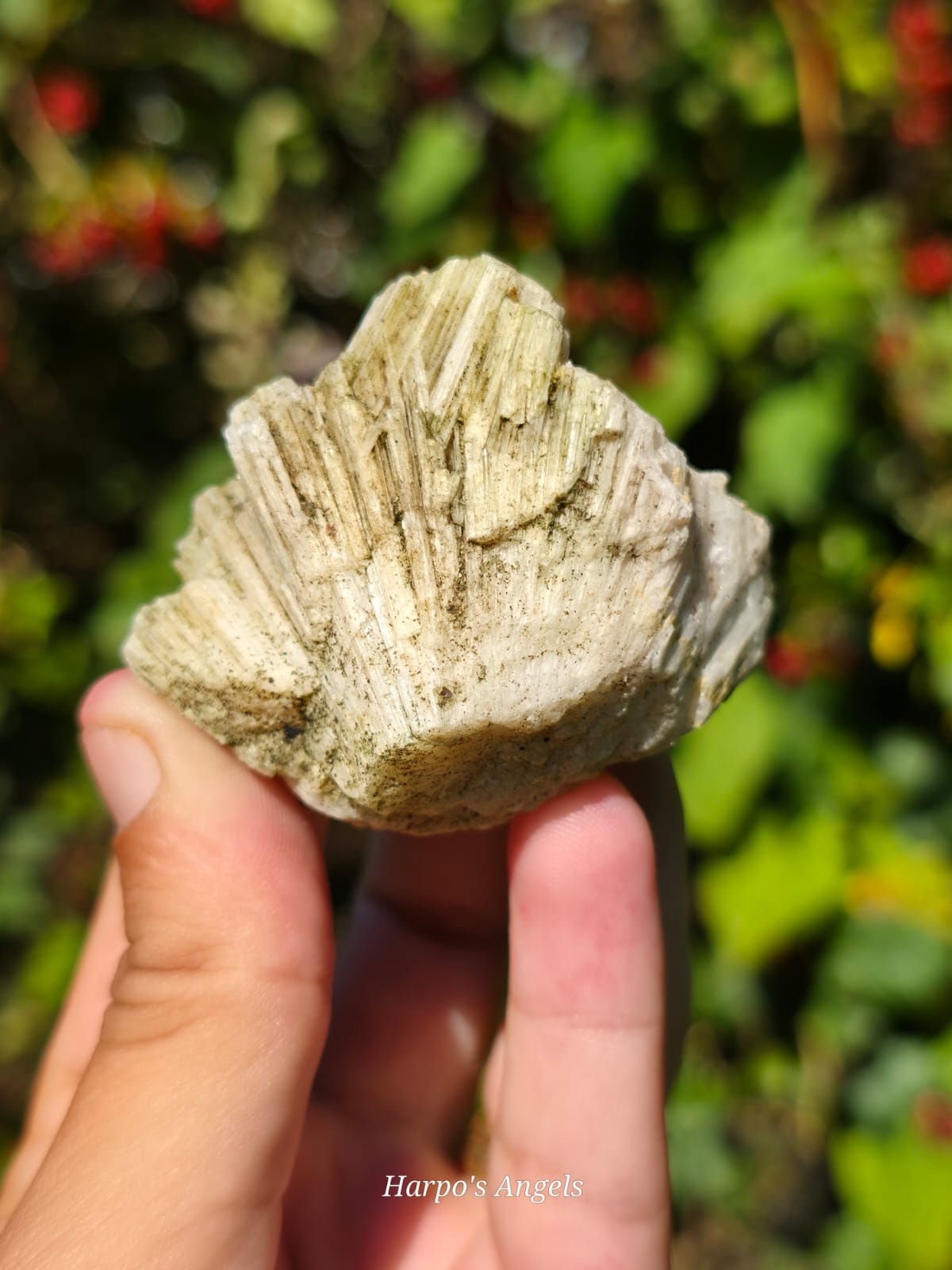 Scolecite from India #2 - (Ex Collection)