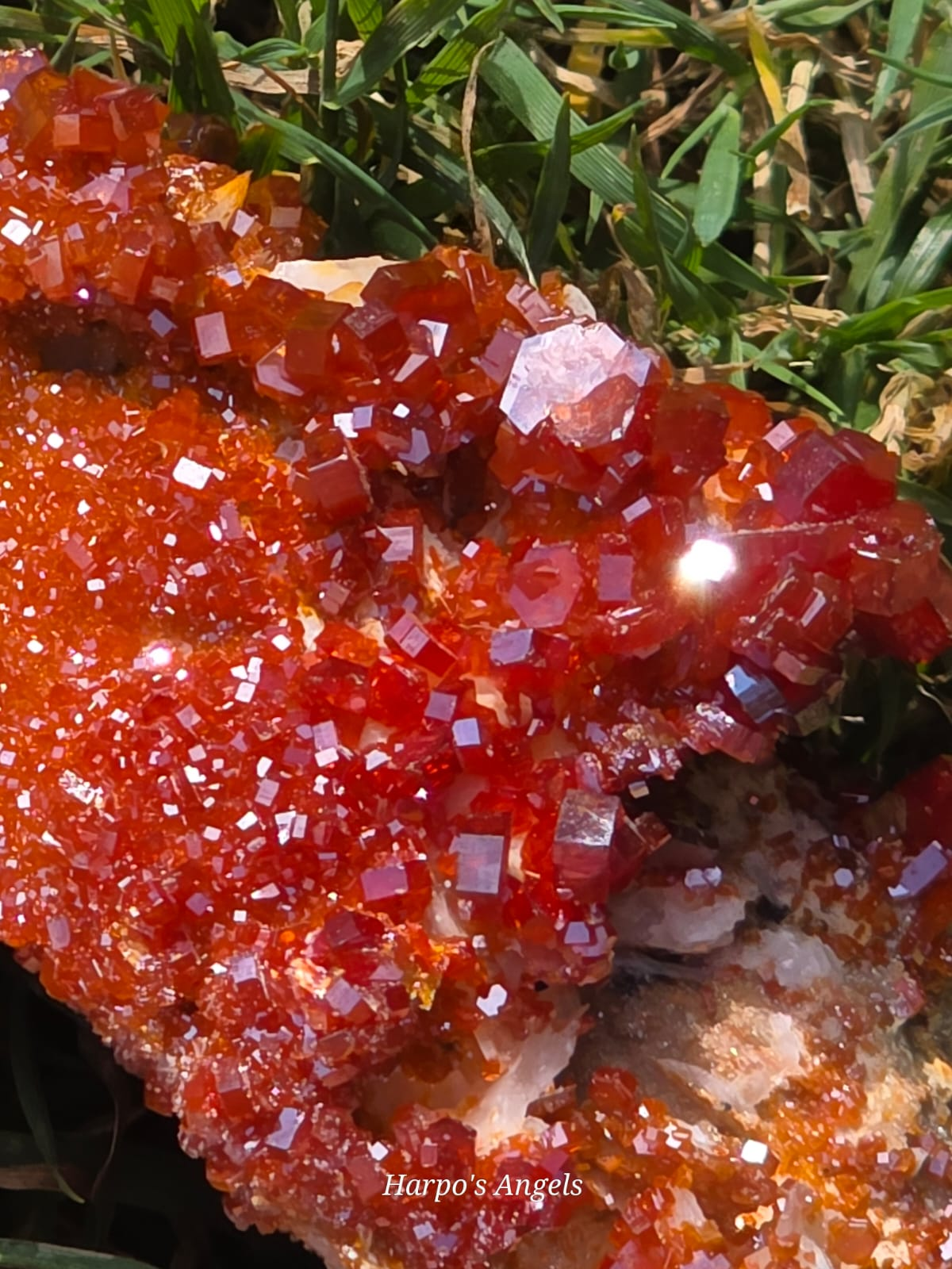 Vanadinite Crystal Cluster