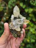 Epidote on Quartz Crystal Cluster  #3