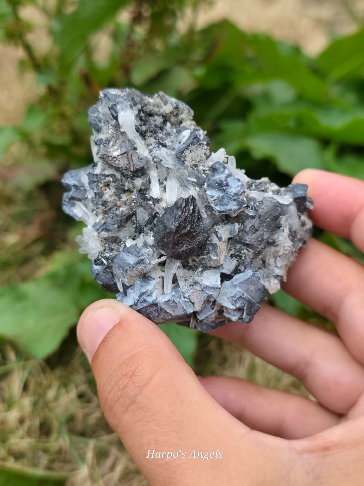 Shungite with Quartz Cluster Bulgaria