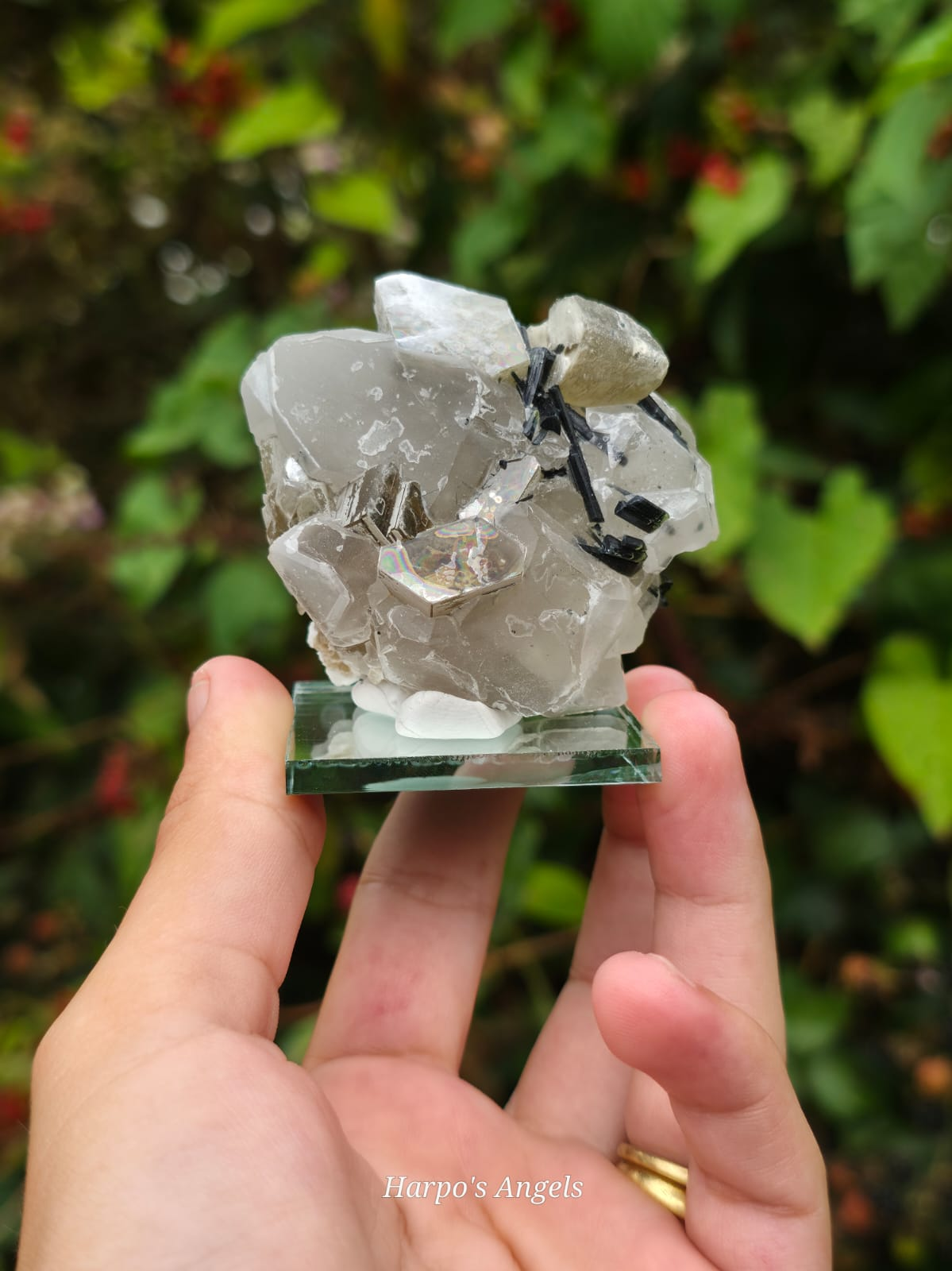Green Muscovite, Black Tourmaline & Quartz Crystal Specimen