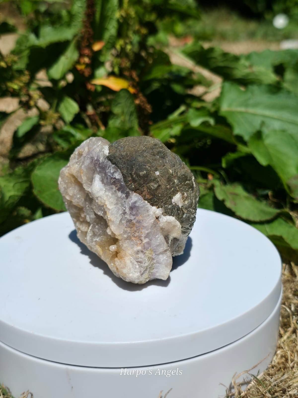 Pyrite with Apophyllite Crystal Specimen