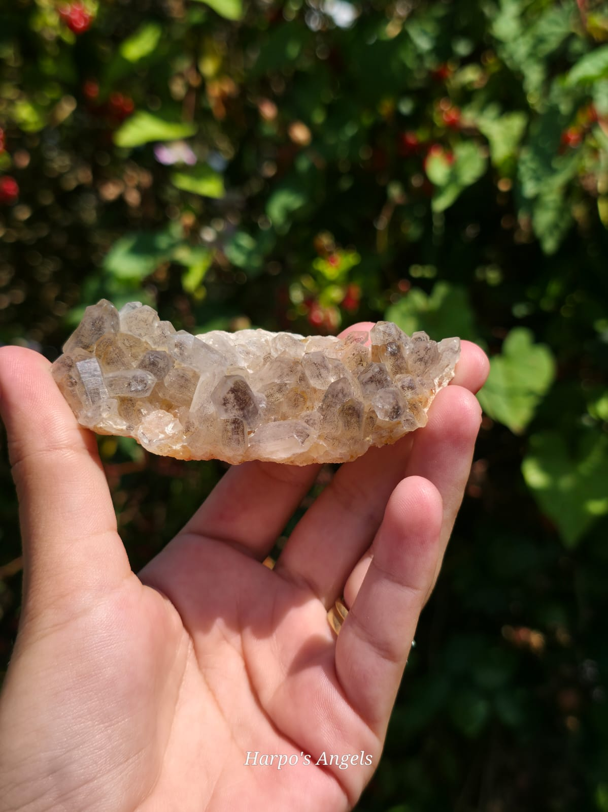 Smoky Quartz Cluster with Iron Inclusions