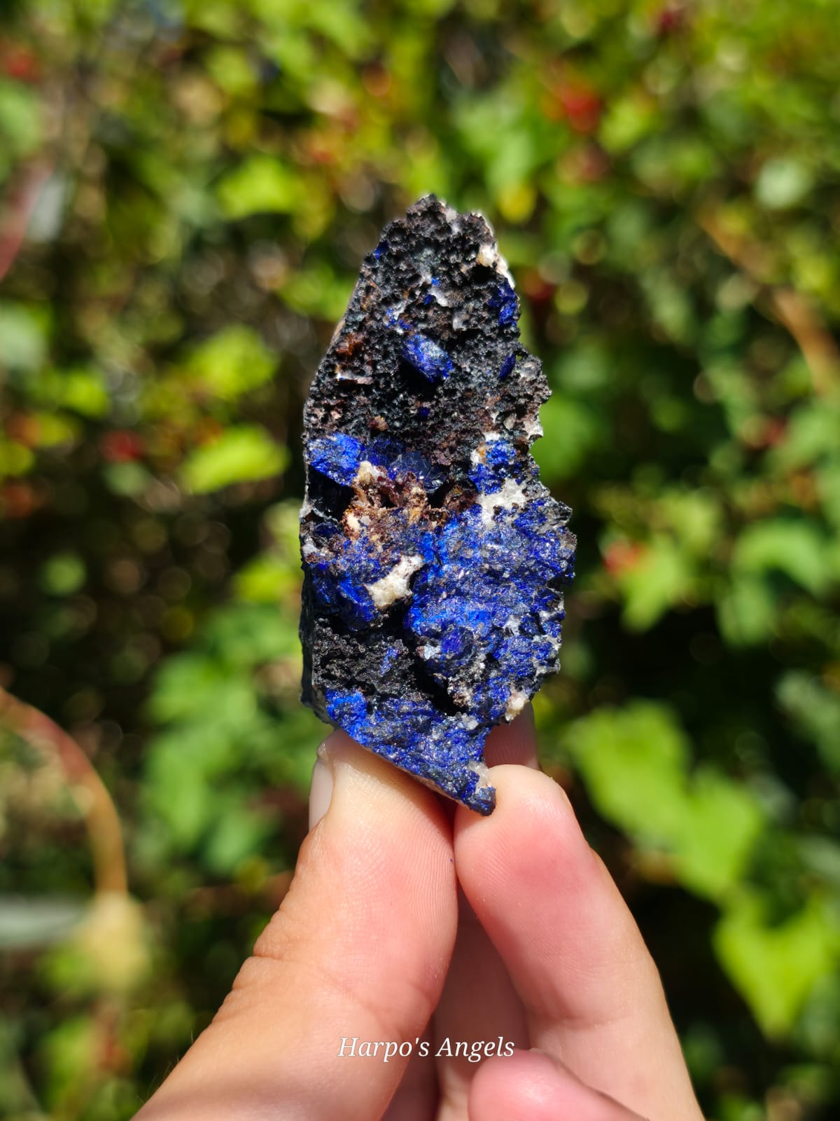 Azurite & Calcite Crystal Specimens (Utah)