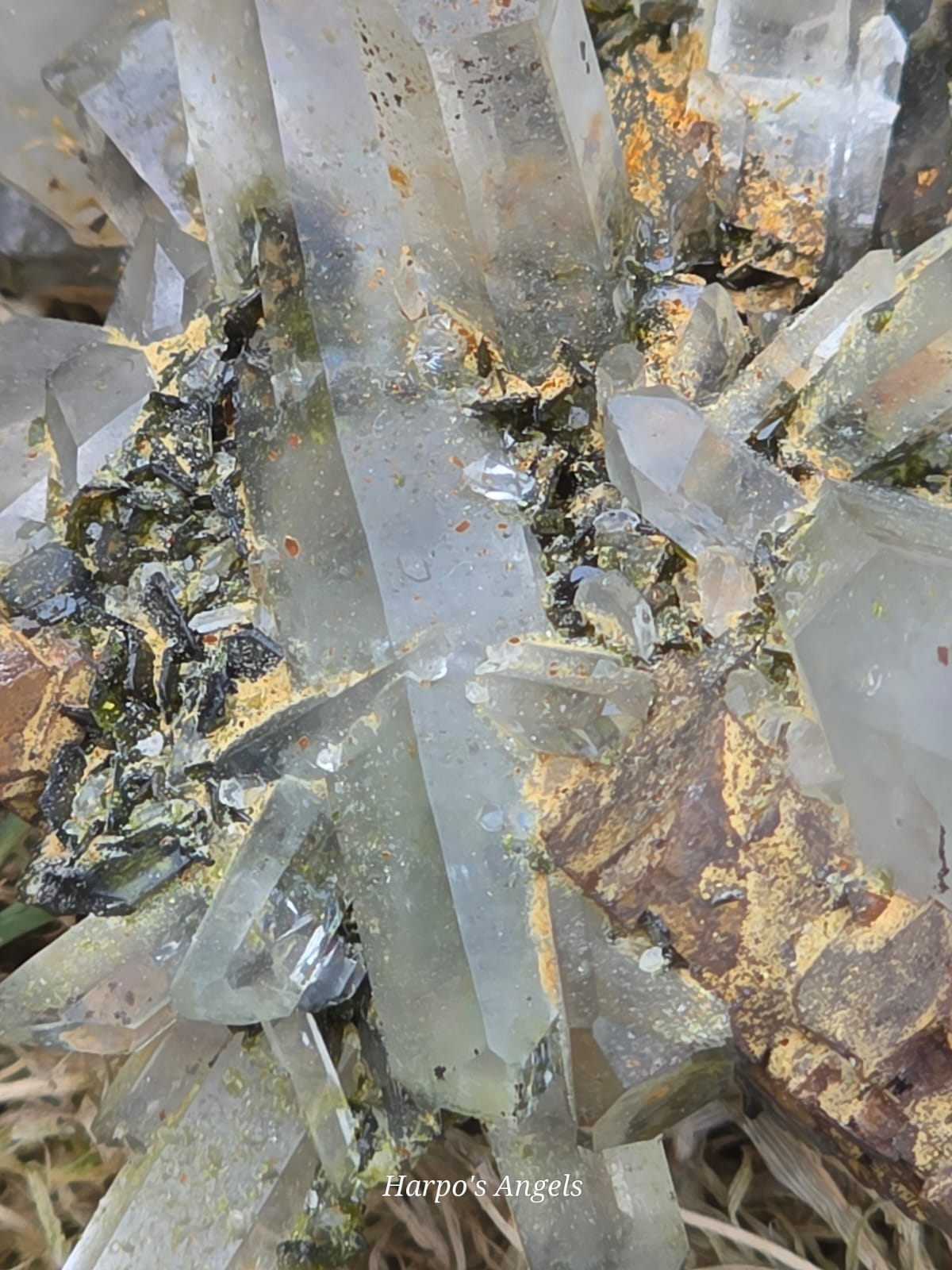 Epidote & Quartz Crystal Cluster - Interrupted Growth Quartz