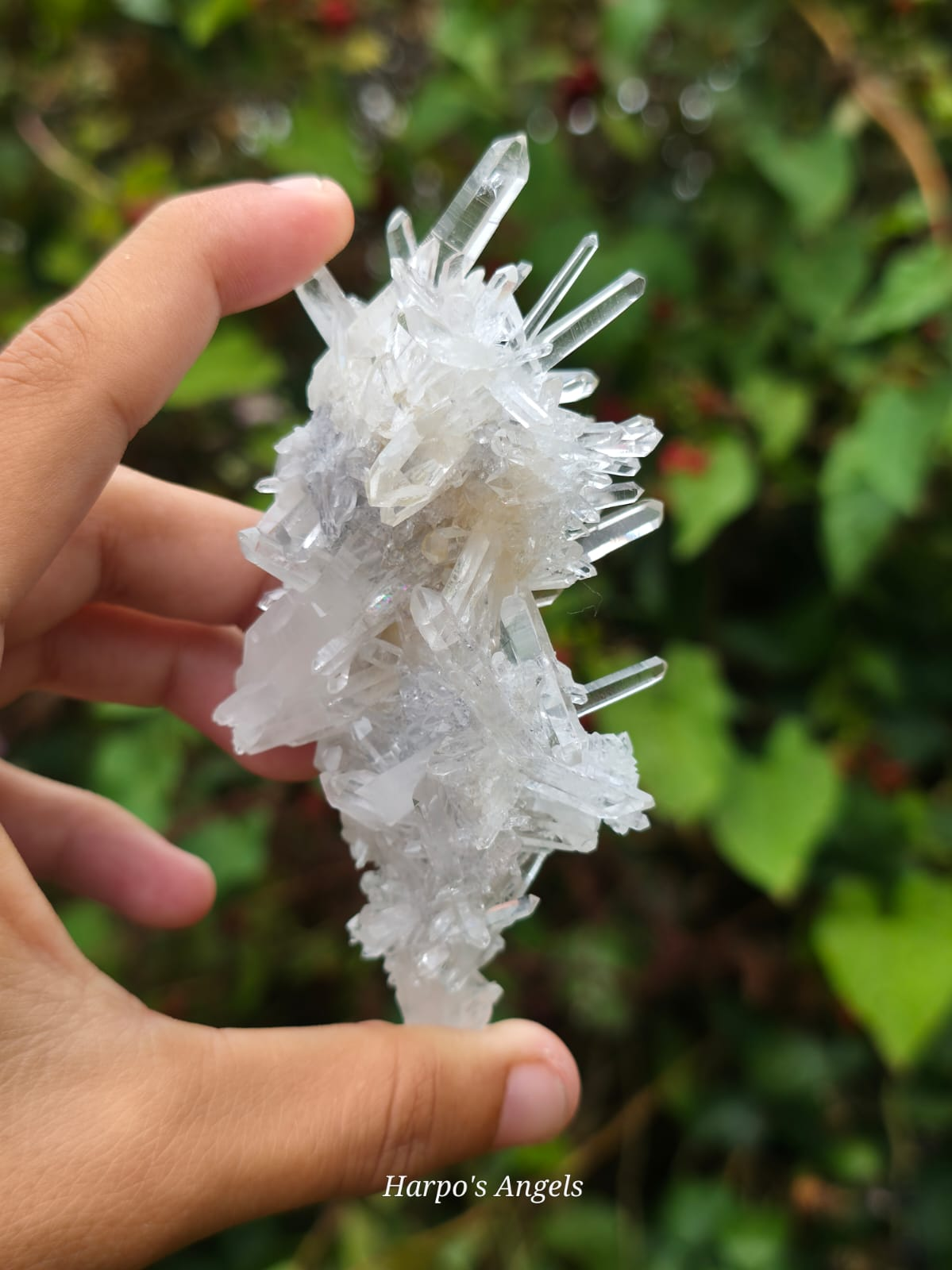 Needle Quartz with Petroleum Inclusions Yunnan, China