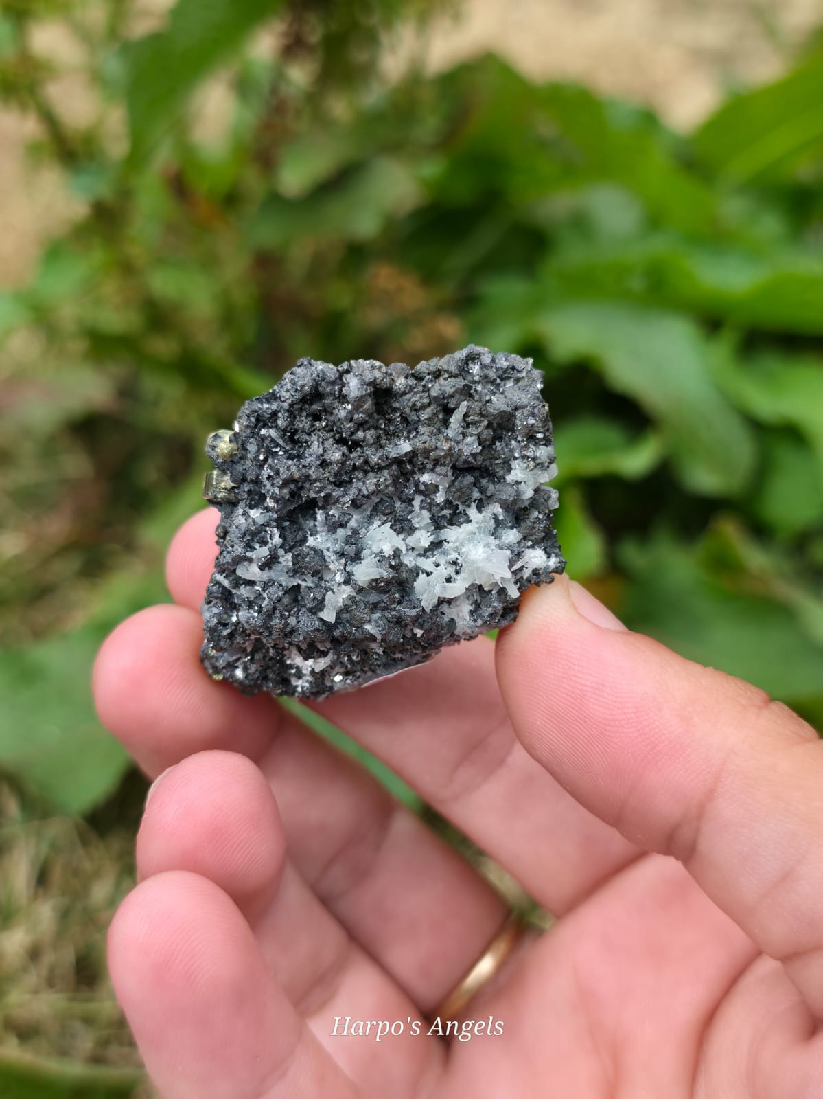 Pyrite, Specularite & Quartz Cluster Bulgaria