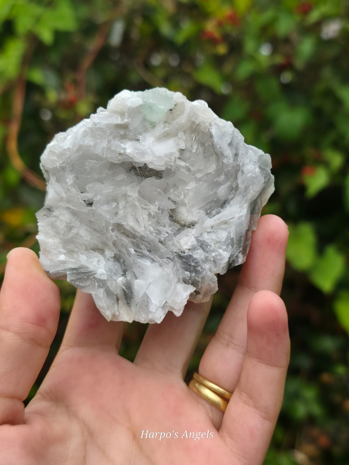 Calcite with Fluorite Inclusion - Ex Collection