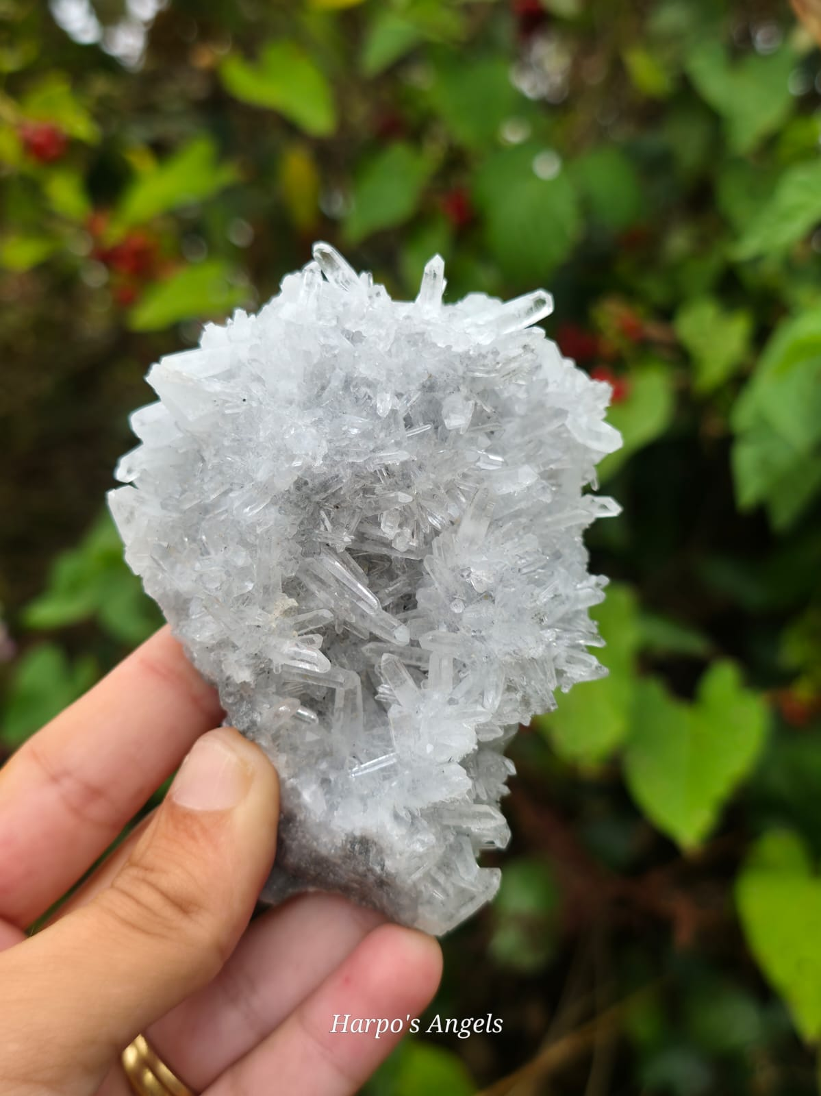 Needle Quartz Yunnan, China