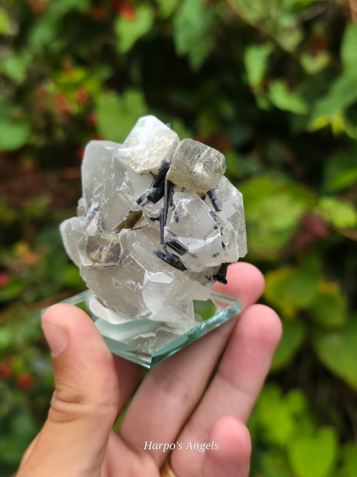 Green Muscovite, Black Tourmaline & Quartz Crystal Specimen