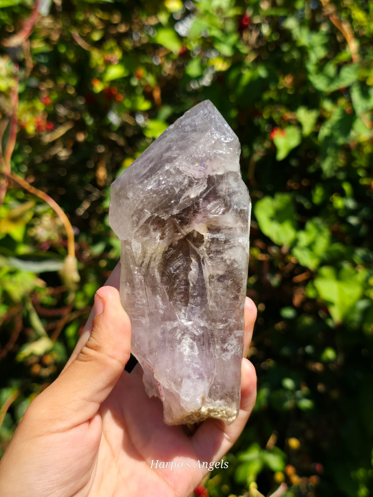 Bandberg Amethyst Crystal Point Namibia