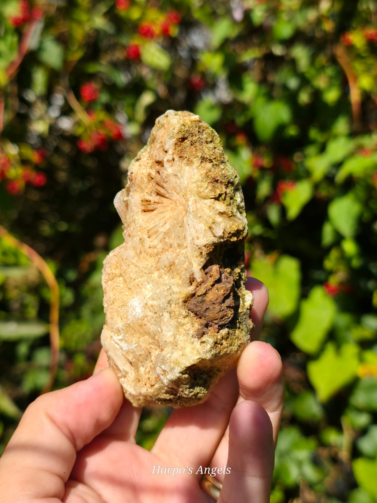 Scolecite from India - (Ex Collection)