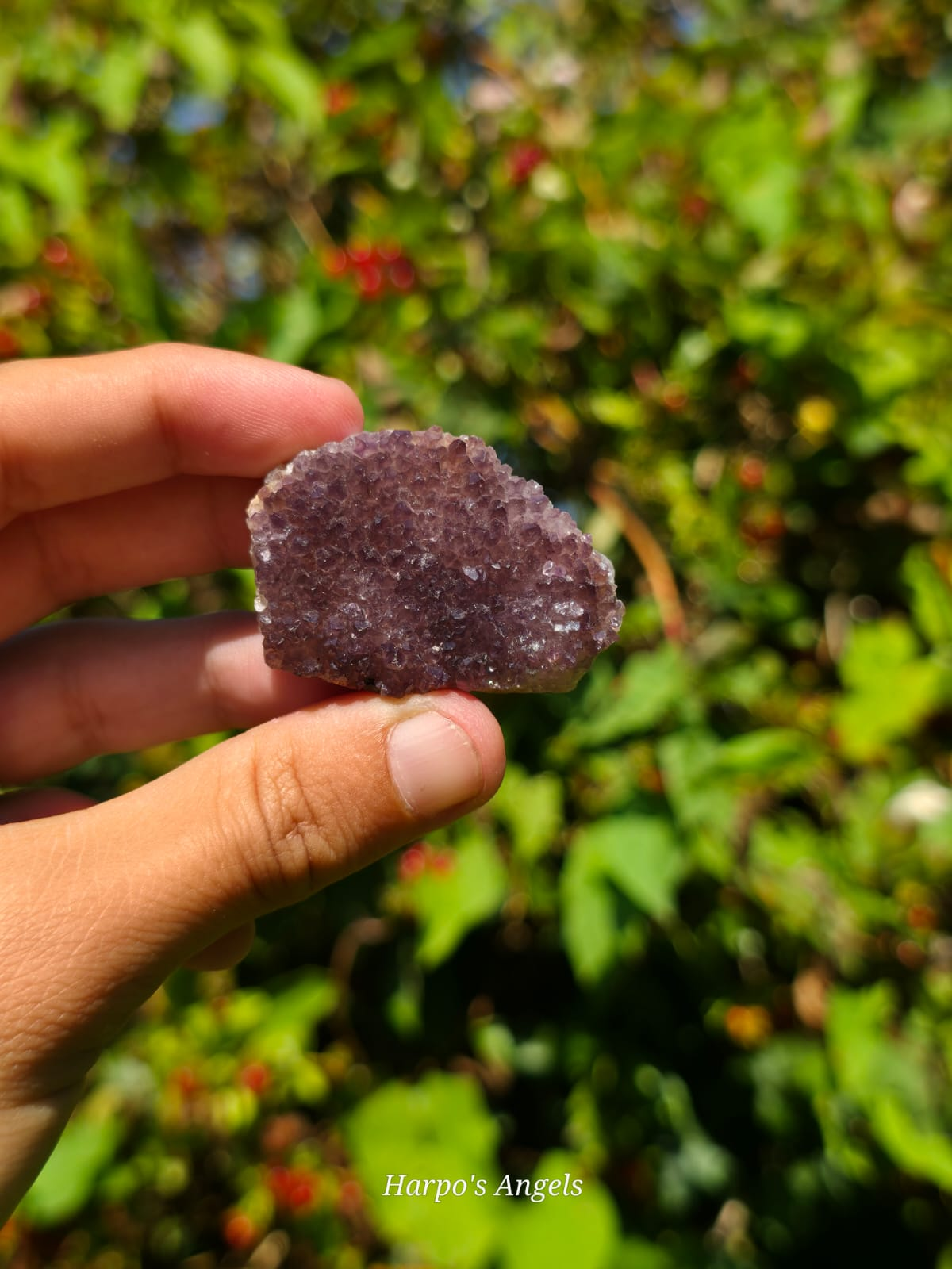 Alacam Amethyst Druzy Specimens