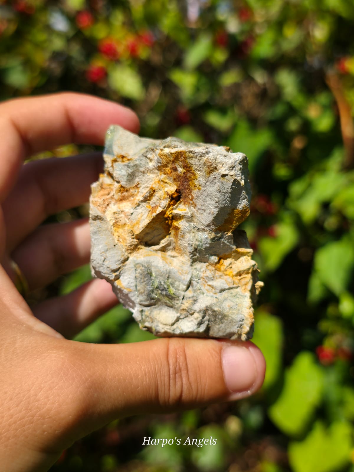 Wavellite Mineral Specimen  - (Ex Collection)