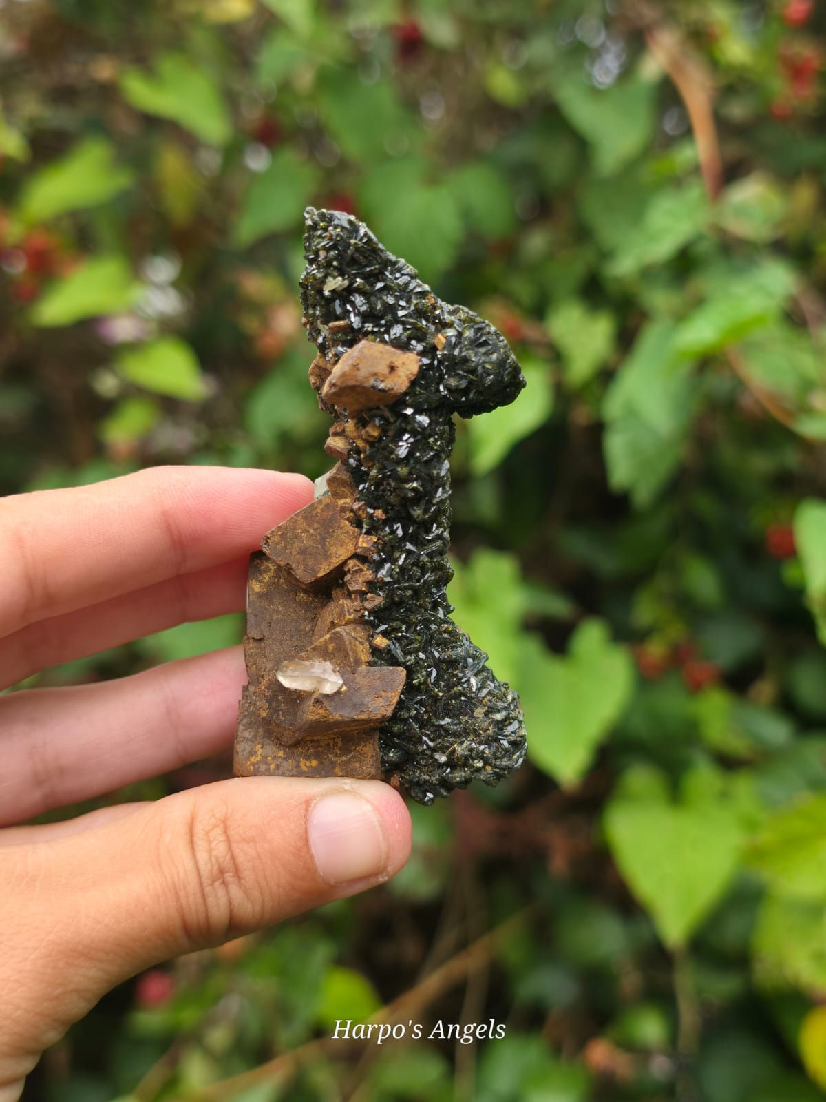Epidote on Quartz Crystal Cluster  #2